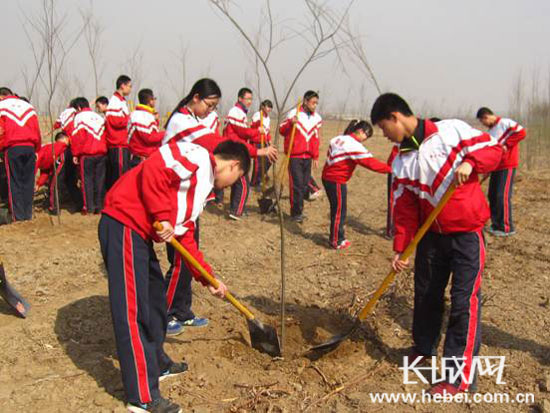 媒体报道：市十三中植树节义务环保活动